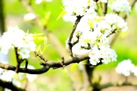 2018成都私立小学幼升小面试题盘点,家长也