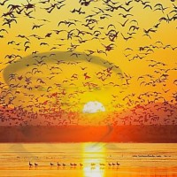 一首纯音乐 使人心情舒畅 自然放松 晚上听伴你