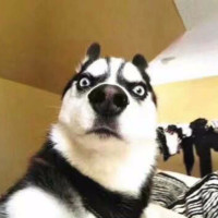 绝对经典 1988年汉城奥运会会歌《手拉手》-韩