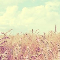 沫沫妈编织 纯手工棒针编织 仿皮草外套 DIY长