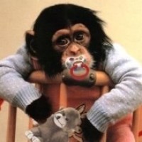 东航宣传片《心跳》真实故事改编, 当空姐说出