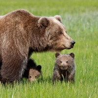 建议横屏播放拍视频只穿上半身系列在大上海有