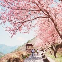 杨幂俞灏明真的在一起过吗,俞灏明是这样说的