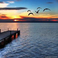 英雄联盟大司马:现在的小老板这么耿直的吗?一