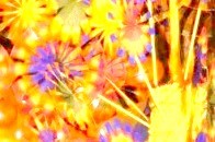 高中文科生物会考知识点详尽总结