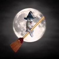 结婚当日丈母娘要五十万彩礼?新郎转身娶伴娘