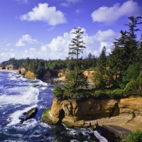 王者荣耀搞笑小动画:机智的诱惑战术