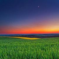 袖珍小矮人集体合唱一首《大花轿》唱的真好听