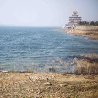 她一首《广东爱情故事》 都让我忘了白话该怎