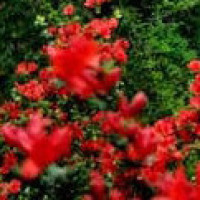 爆笑小品《别误会》,鄂博喝断片对郭涛说:我老