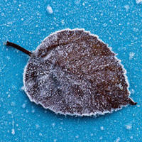 《温柔的谎言》电影版,女主比安然还漂亮