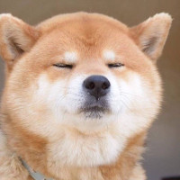 小精灵郑爽新剧《我的保姆手册》先导片