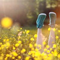 汪汪队立功:机器恐龙对着汪汪队一声大吼,全都