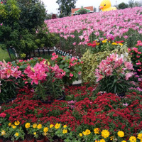 你是谁?你到底是谁?大哥一段freestyle逗笑在场