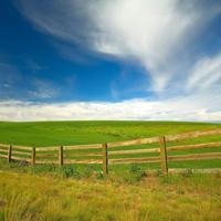 水浪花围巾编织视频教程