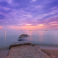 2018新歌 网络情歌《情不自禁爱上你》