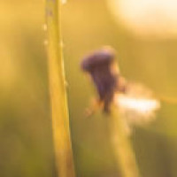 宝宝巴士汽车家族-看动画,听儿歌,这样坐公交车