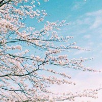 韩国吃播胖姐允花,吃芝士大龙虾,片尾还有男友