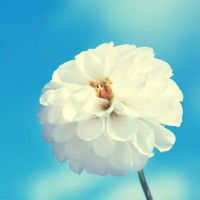 热巴为了一把椅子发飙脱鞋字暴打李晨,陈赫见