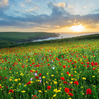 创意小型嗑瓜子机,一边出瓜子粒一边出瓜子壳