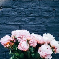 回家过年偶遇多年不见的同学,竟遭看不起,结局