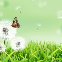 白敬亭分析问题头头是道,魏大勋不停的眨眼睛