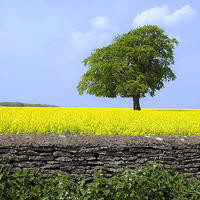 女孩来例假肚子疼怎么办?美女学妈妈这样说,真