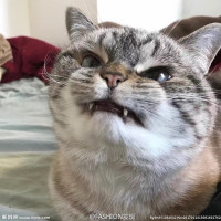 现在医院里的护士们一个月工资多少?说出来你