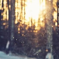 贾玲沈腾主演《贾大姐的幸福生活》,王源胜在