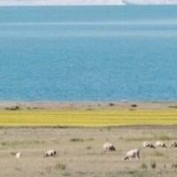 谢晓峰和燕十三谁才是江湖剑神,这一战惊天地