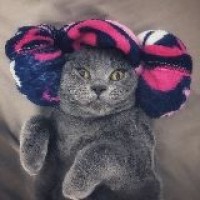 杨丽萍广场舞 好运送给你 16步