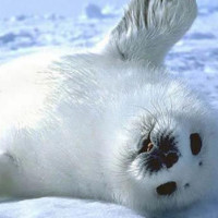 致我们单纯的小美好:吴柏松不会写单词,抄陈小