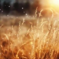 蘑菇头搞笑改编歌曲,饿了也不吃,坚决不吃!