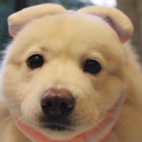 致我们单纯的小美好:林静晓电影院偶遇电影票