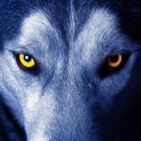 鲁豫有约专访吴奇隆和刘诗诗,看刘诗诗动作鲁