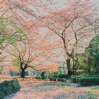 王者荣耀:V8有什么好处?关键时刻能保命我要