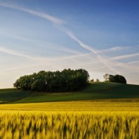 凉生:年轻的时候,都以为人生很长,其实人生很短