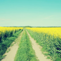 王者荣耀 哪吒逐梦之翼出场效果演示