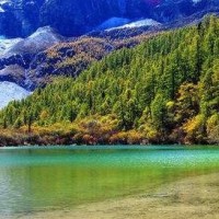 王者荣耀:猴子一棍一万暴击 这伤害有点可怕