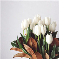 鞋子的白边脏了用这个方法刷效果最好,赶紧试