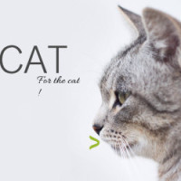 中国和美国为什么不去踢世界杯