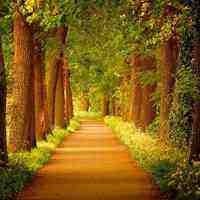 我是特种兵:美女深入敌后卧底成功,晨光冒进遭