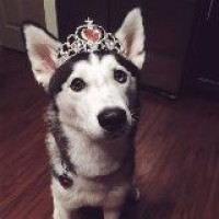 李小璐 贾乃亮在18跨年演唱会上一首 全部都是你