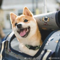 一秒变女神!我是罗美人