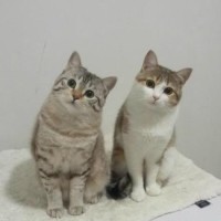 朴实农村大叔爱唱歌,梦想当歌唱家,大家感觉怎