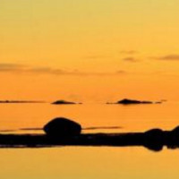 羊字加偏旁变新字,你能写出来几个字