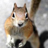 凯音乐:巴黎时装周走秀音乐动感酷炫LED大屏