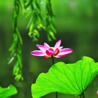 当婆婆遇上妈之欢喜冤家:亲家大闹医院引围观