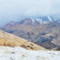 香炸带鱼加点它,颜色漂亮又不碎,非常美味