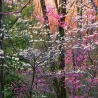 电子琴独奏情歌《等你等了那么久》好听醉了,